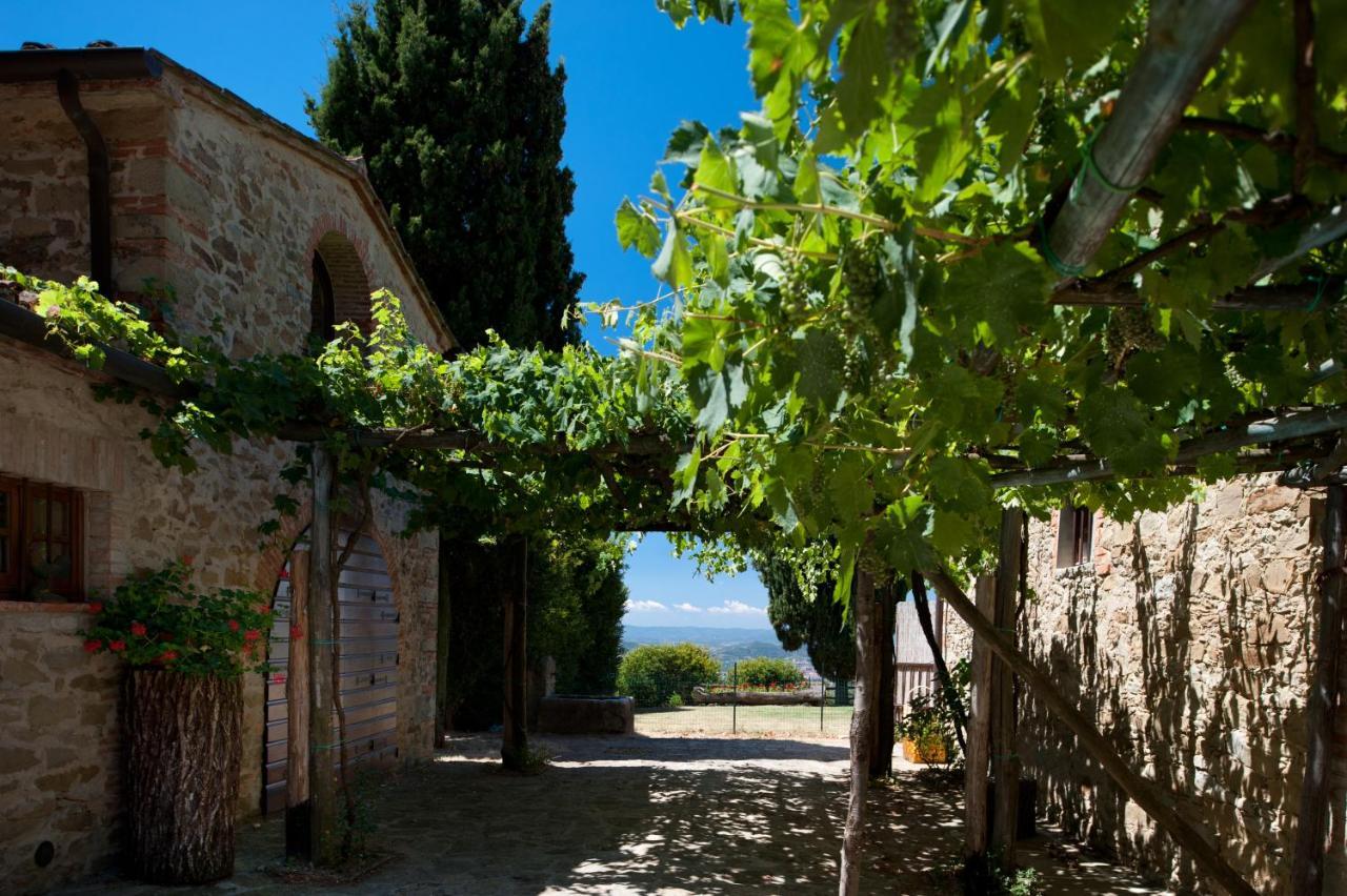 Villa Mandorlo - Pomaio Wines & Hospitality Арецо Екстериор снимка